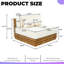 Coussins hydrofuges surdimensionnés simples en bois d'acacia