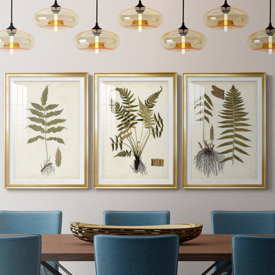 Fern Botanical III  -Custom Framed  Premium Print W Matt - 3 Pieces
