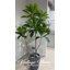 Arbre à fleurs artificiel japonais 84,3 po dans un grand pot à carreaux beige parfait pour une utilisation intérieure et extérieure