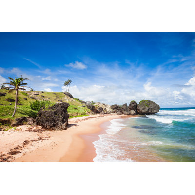 Soup Bowl at Bathsheba by Tomml