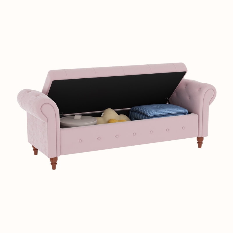 Banc de rangement rembourré en polyester Alleisha, Rose
