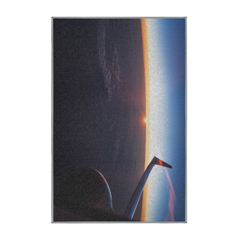 Indoor Rug, Rectangle 2' x 4'