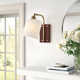 Single Light Steel Dimmable Armed Sconce