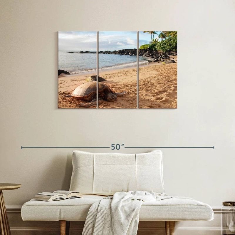 Brampt Turtle Beach, 24" H x 38" W