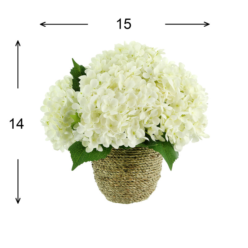 Hydrangeas Arranged in Straw Grass Pot