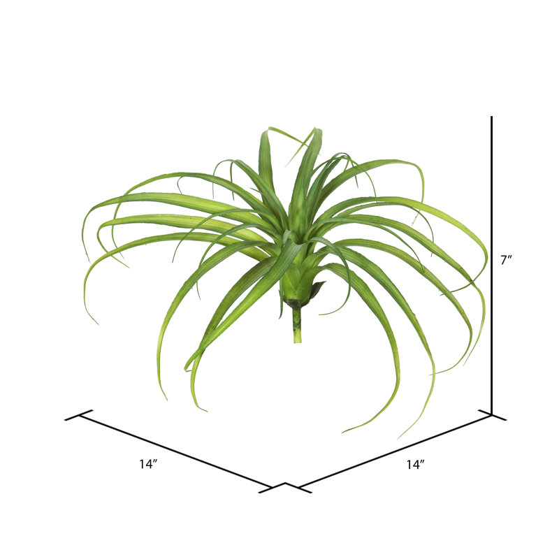 Arrangement