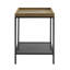 Raasch Tray Top End Table-1669869936-1669869835