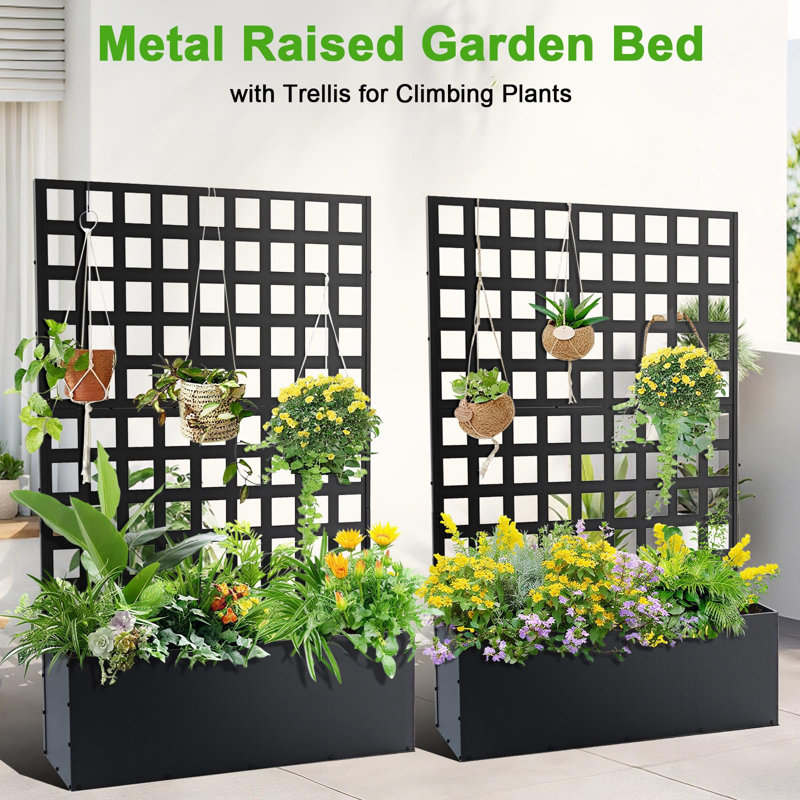 Metal Raised Garden Bed with Trellis, Galvanized Planter Box Privacy Screen for Climbing Plants & Vegetables, Black