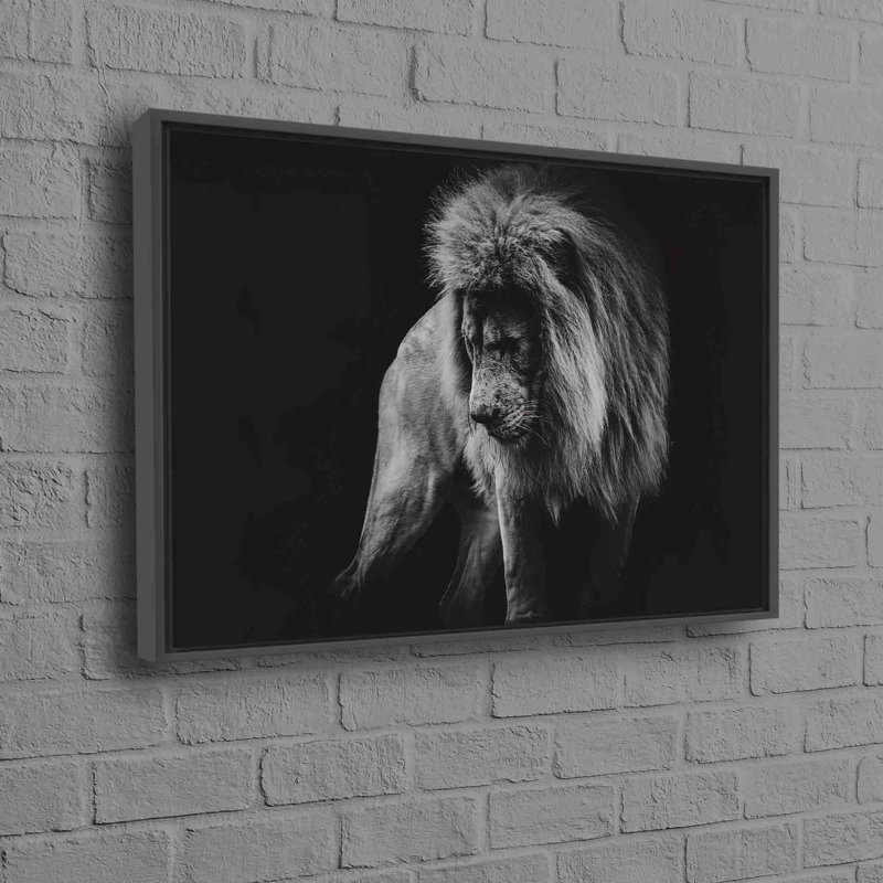 Print on Canvas, Framed Print without Mat, Black, 50 cm H x 70 cm W