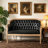 Atenea 49.5'' Upholstered & Birch Wood Loveseat-1637176345-1685946081