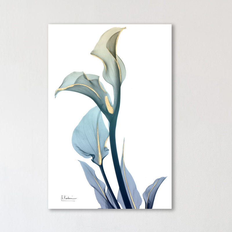 Gold Splash Calla Lilly - Wrapped Canvas Print, 38cm H x 25cm W x 4cm D