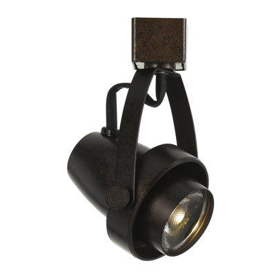LED Adjustable Track Head