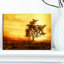 « africain tree silhouette », impression sur toile tendue-26126774-33219936