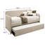 Lit double avec lit gigogne - Construction et apparence élégante - Revêtement rembourré - Espace de repos confortable - Optimisation de l'espace