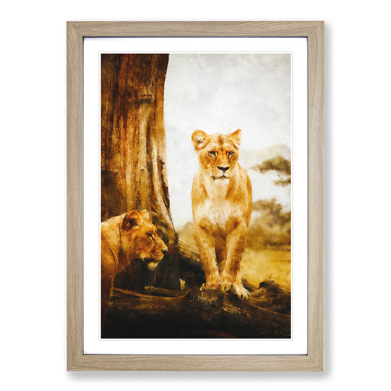 Two Lioness - Framed Print, 65cm H x 48cm W x 2cm D, Oak Framed