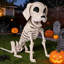 Décoration de squelette de chien posable d'Halloween avec articulations mobiles