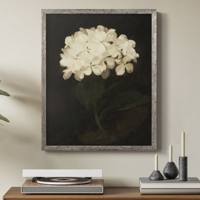Vintage Floral Print CCCLXII Framed Print - Solid Wood