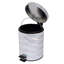 Holographic 1,32 gallon marche sur poubelle