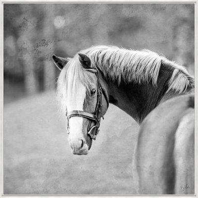 CeCe II par Brandon Luther - photographie sur toile