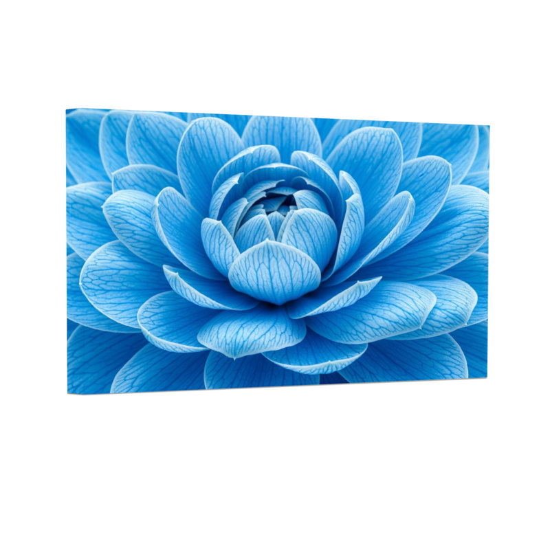 Plantes et fleurs, impression de motif de pétales de fleurs bleues, H 12 po x l 18 po