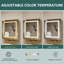 Armoires à pharmacie à miroir murales l 24 po avec porte-papier hygiénique Wrought Studio ™-2024060510