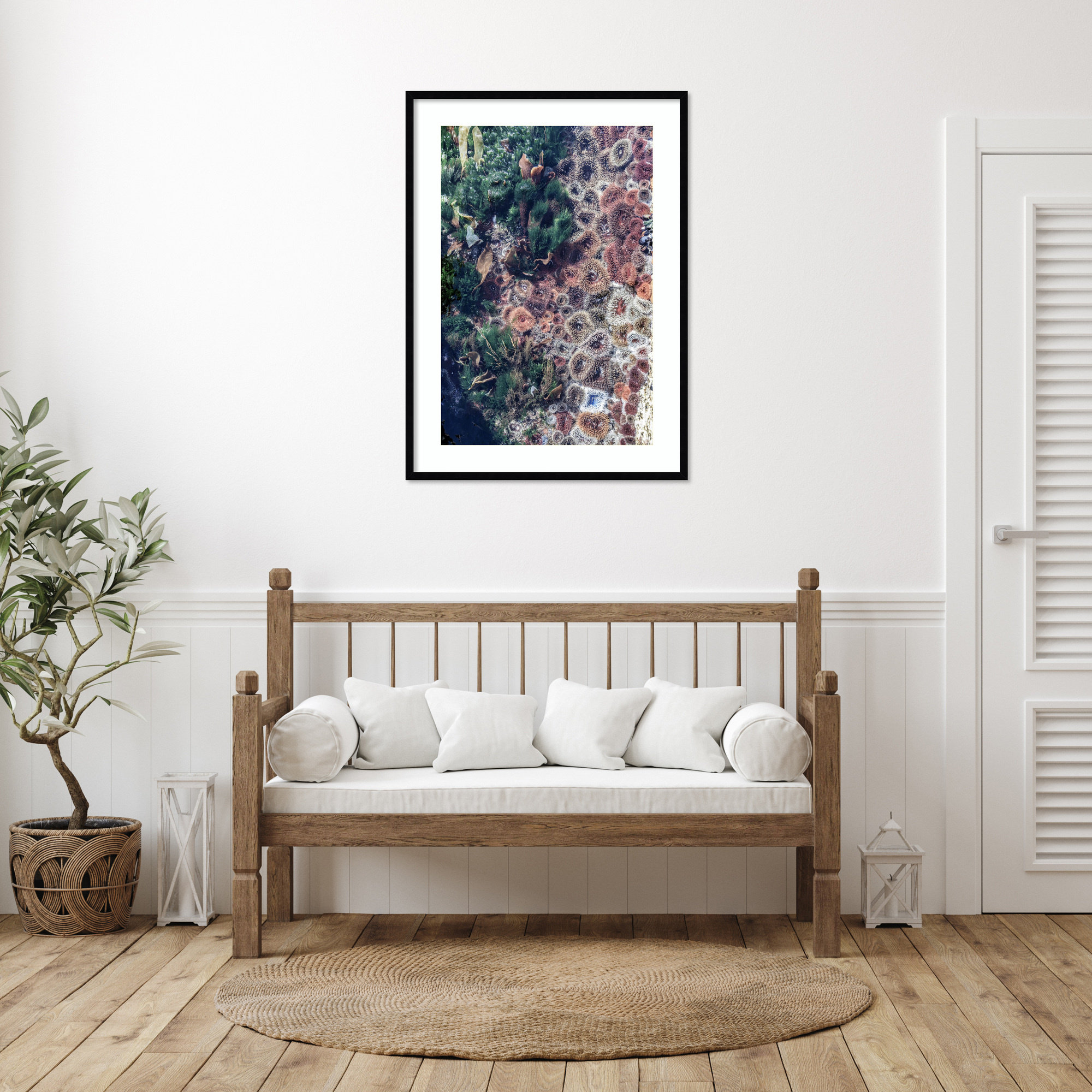 Ocean Curiosities by Shot by Clint Wood Framed Wall Art Print, 41" H x 30" W, Black