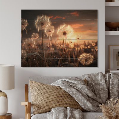 Coucher de soleil sur fond de pissenlits III sur bois