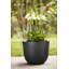 Plant Pot-72816988-72816990