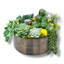 Arrangement de plantes grasses artificielles espresso | Centre de table rustique moderne (l 13 po)