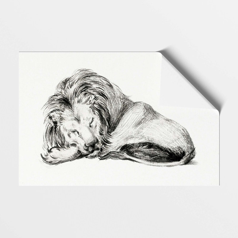 Sleeping Lion by Jean Bernard - Frameless Print, 29.7 cm H x 42 cm W