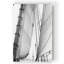 « under voile ii », impression sur toile-832480507-833649451