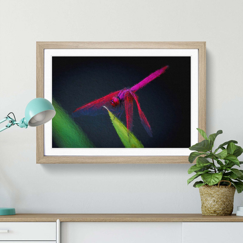 Dragonfly - Picture Frame Painting Print, Oak Framed, 48cm H x 65cm W x 2cm D