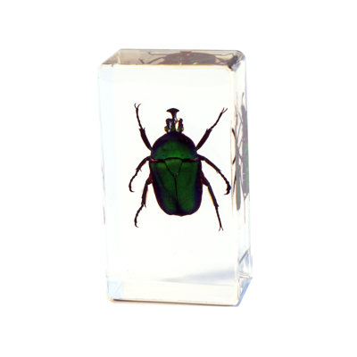 Pyron Animals Figurines & Sculptures
