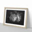 Lion With Piercing Eyes Paint Splash - Picture Frame Graphic Art-56865650-56865648