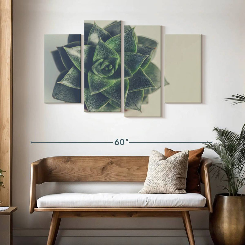 Harnek Thornless Succulent, 32" H x 52" W