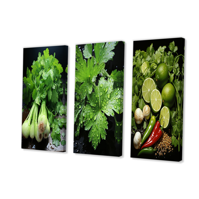 Herbes Cilantro Splash I - ensemble de 3 reproductions d'art mural Herbes, Toile tendue, H 28 po x l 36 po