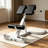 Adjustable Roman Chair Back Extension Bench