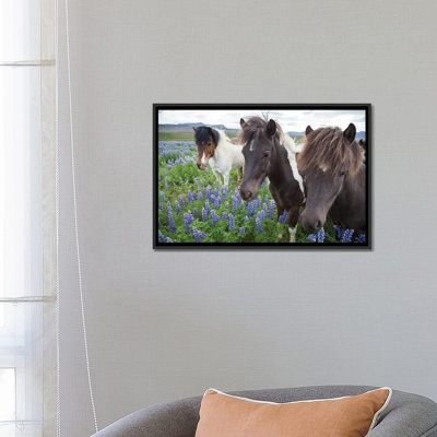 Trois chevaux dans une prairie, par Gareth McCormack, impression sur toile tendue sur châssis