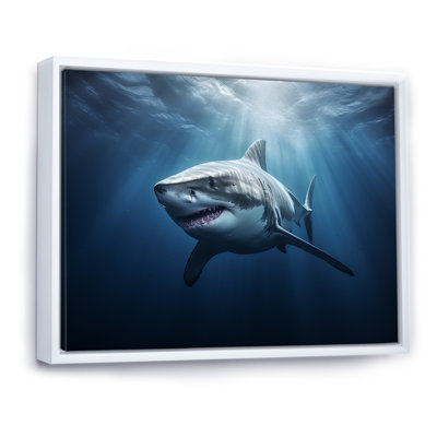 Océan, requin fantôme bleu, photographie sur toile III
