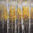 Sunny Birch Trees Gray Canvas | Office Wall Art Decor