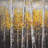 Sunny Birch Trees Print On Canvas-704457801-704457802