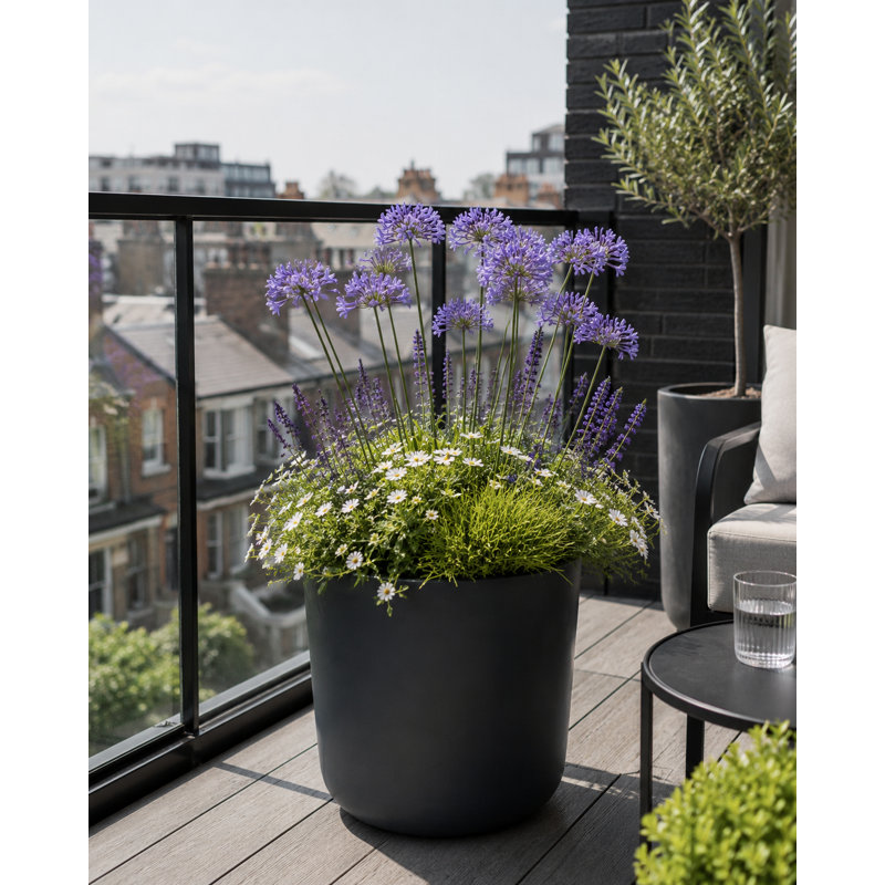 Ashley Round Egg Planter, Concrete Effect, Indoor and Outdoor Round Plant Pot with Drainage Hole, 35cm H x 35cm W x 35cm D