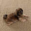 Veranda Area Rug-22693591