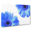Two Blue Flowers - Wrapped Canvas Painting-56637429