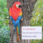 Statue de jardin Barriault-610093363