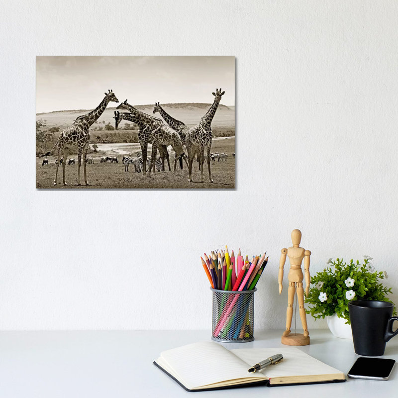 Gathering Giraffes by Klaus Tiedge - Wrapped Canvas Print, 20.32 cm H x 30.48 cm W