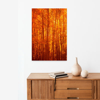 Aspen arbres au lever du soleil en automne Colorado, États-Unis, art contemporain de paysage forestier abstrait