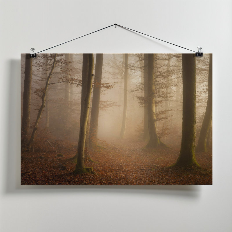 Wrapped Canvas Print, 50.8 cm H x 76.2 cm W