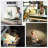 Led Desk Lamp - Desk Light For 31.5" Tall - 5 Color Modes X 11 Brightness Levels - Adjustable Swing Arm - Timmer & Memory Function - 12W Lamp For Desk - Black