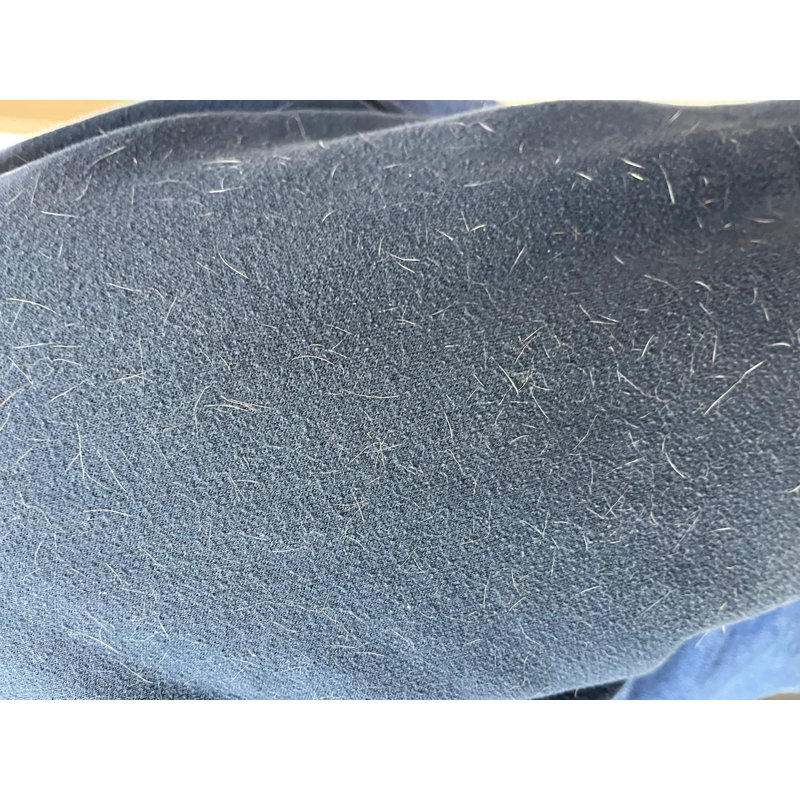 Lint Roller